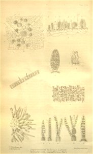 n396_w1150