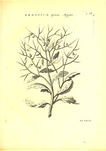 n362_w1150