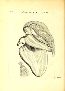 n109_w1150