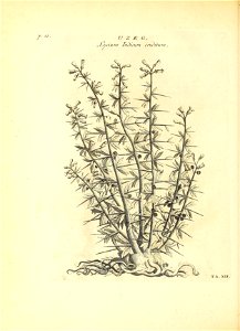 n57_w1150