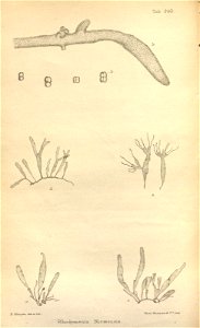 n301_w1150