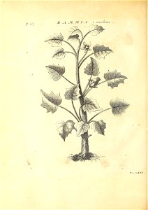 n359_w1150
