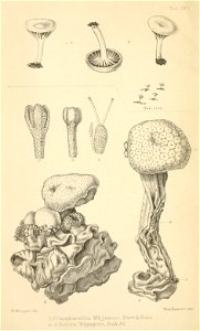 n177_w1150