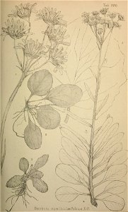 n42_w1150