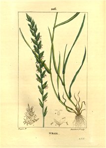 n161_w1150