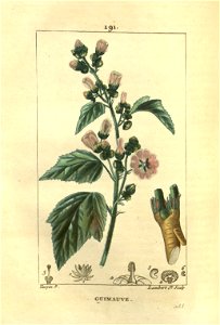 n95_w1150