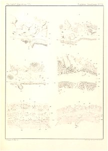 n98_w1150