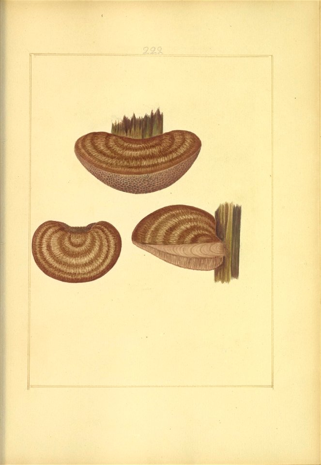 n176_w1150