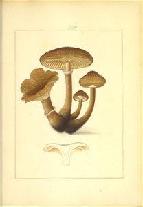 n112_w1150