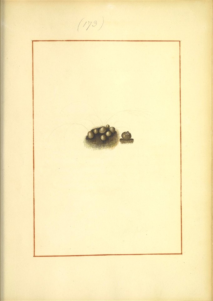 n174_w1150