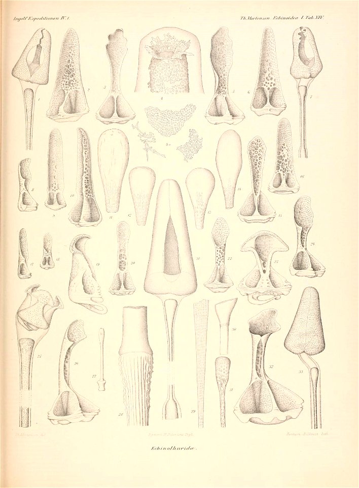 n256_w1150