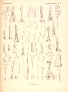 n256_w1150