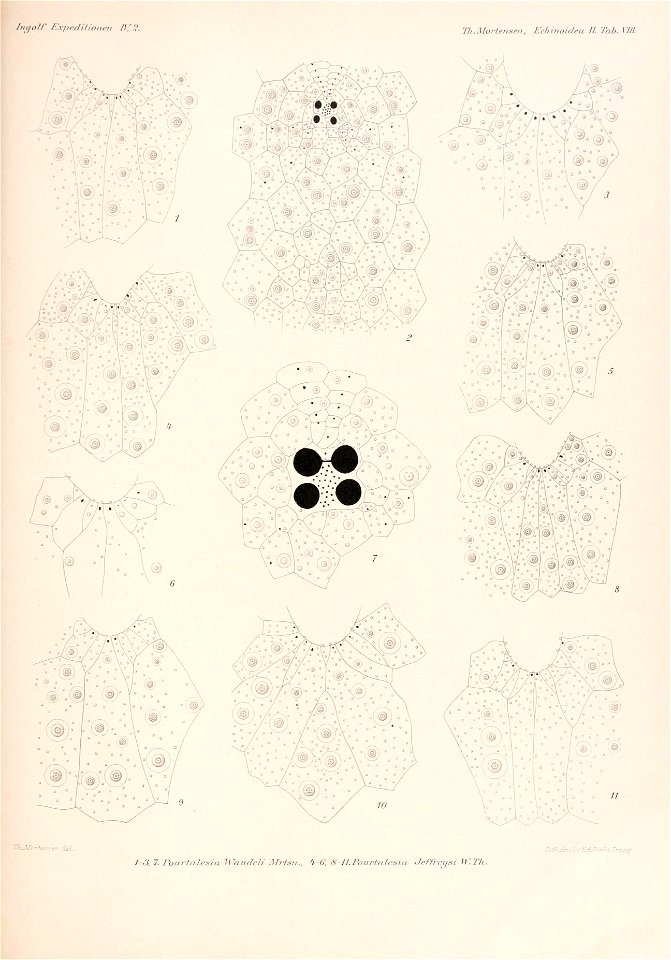 n238_w1150