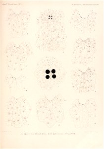 n238_w1150