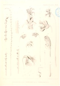 n114_w1150