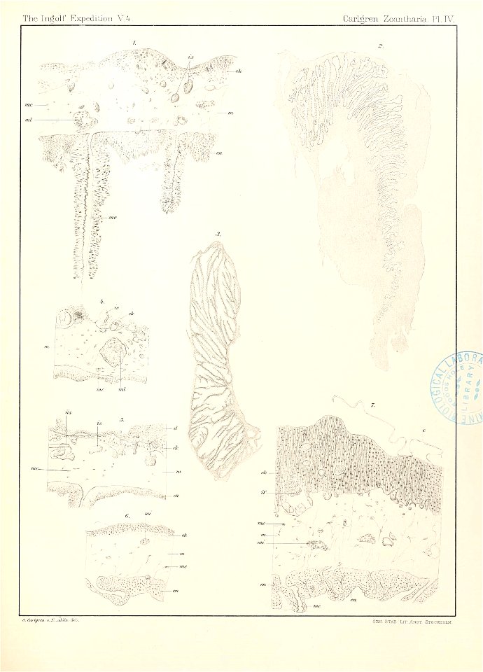 n86_w1150