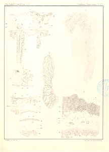 n86_w1150