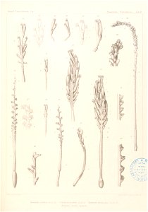 n110_w1150