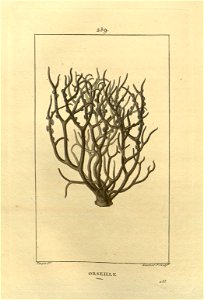 n154_w1150