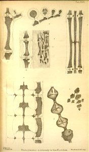 n392_w1150