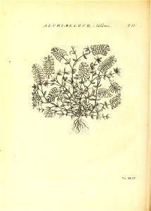 n157_w1150
