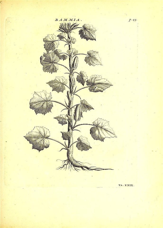 n114_w1150