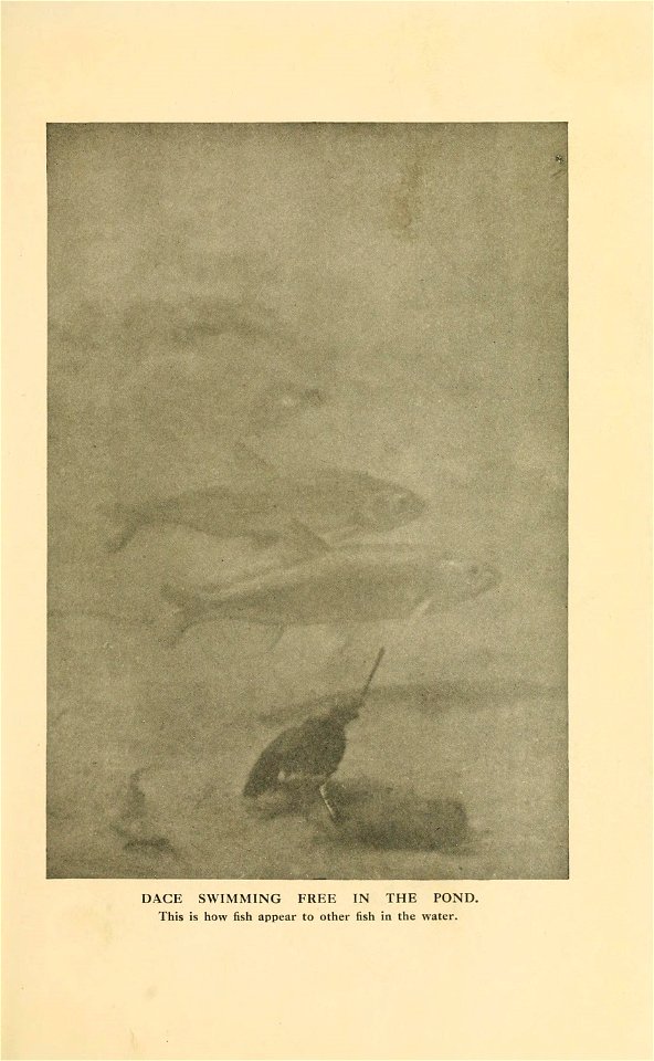 n86_w1150
