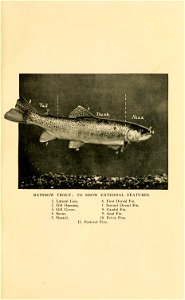 n26_w1150