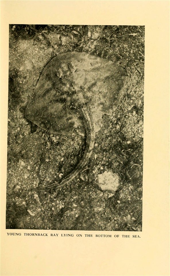 n130_w1150