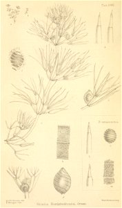 n79_w1150