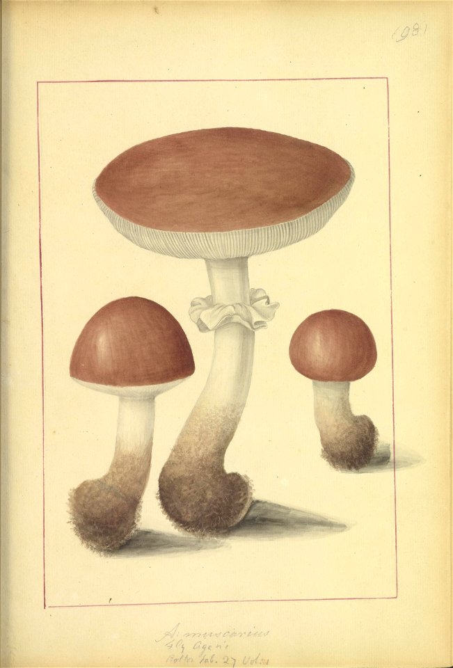 n54_w1150