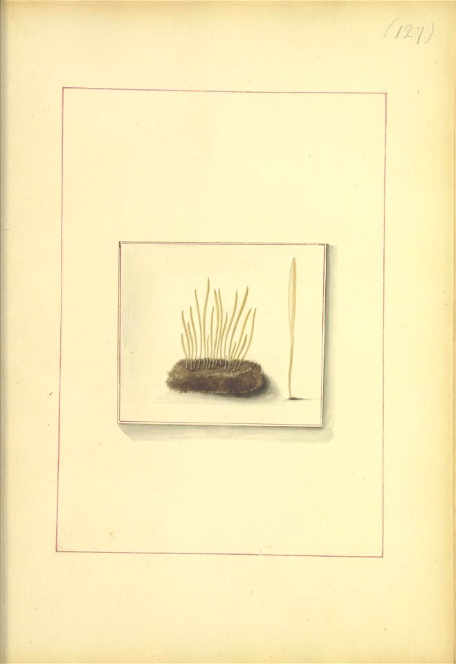 n170_w1150