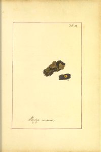 n162_w1150