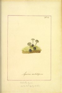 n102_w1150