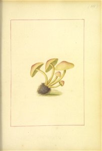 n106_w1150