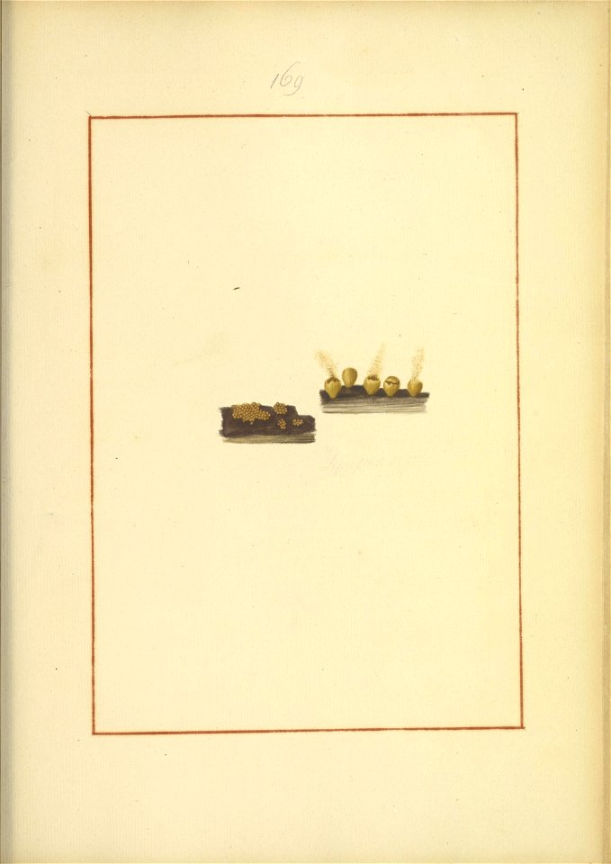 n158_w1150