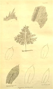 n107_w1150