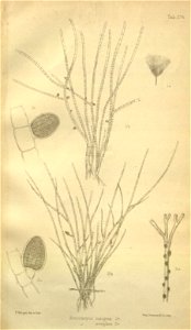 n399_w1150