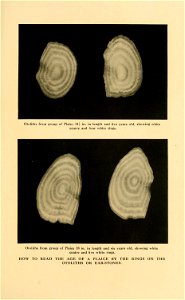 n242_w1150