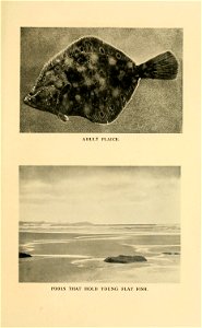 n238_w1150