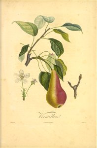 n508_w1150