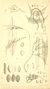 n391_w1150