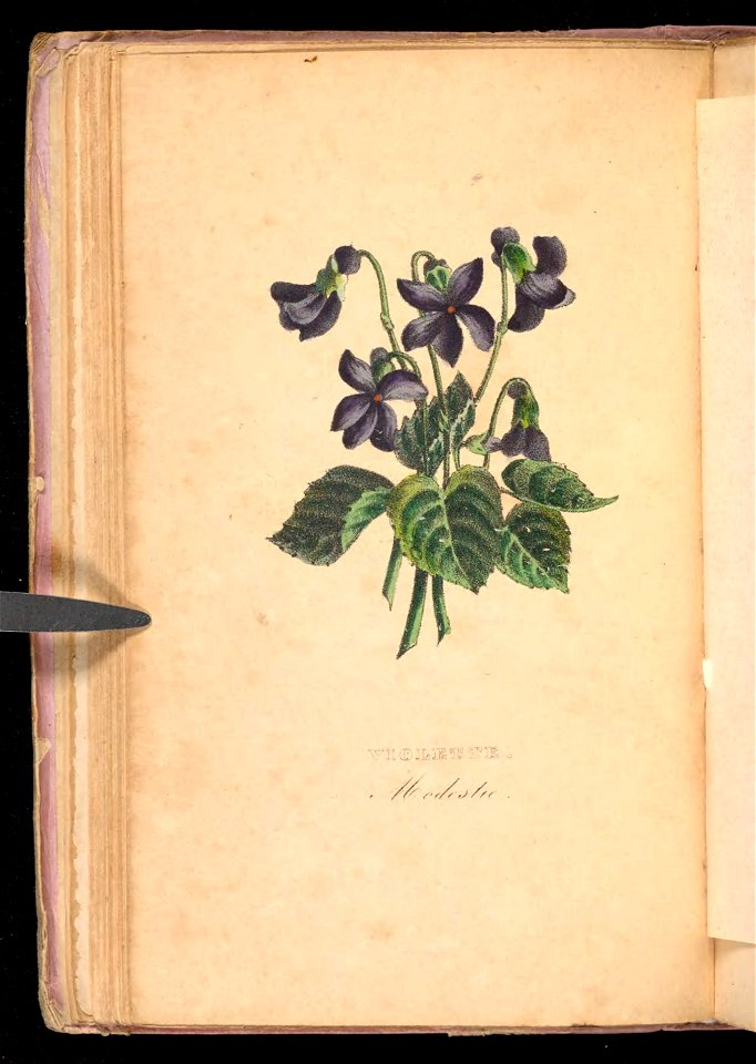 n95_w1150
