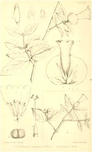 n353_w1150