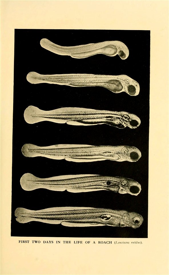 n216_w1150
