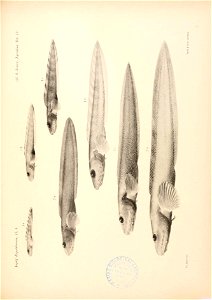 n122_w1150