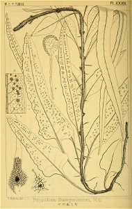 n177_w1150