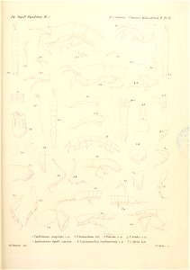 n164_w1150