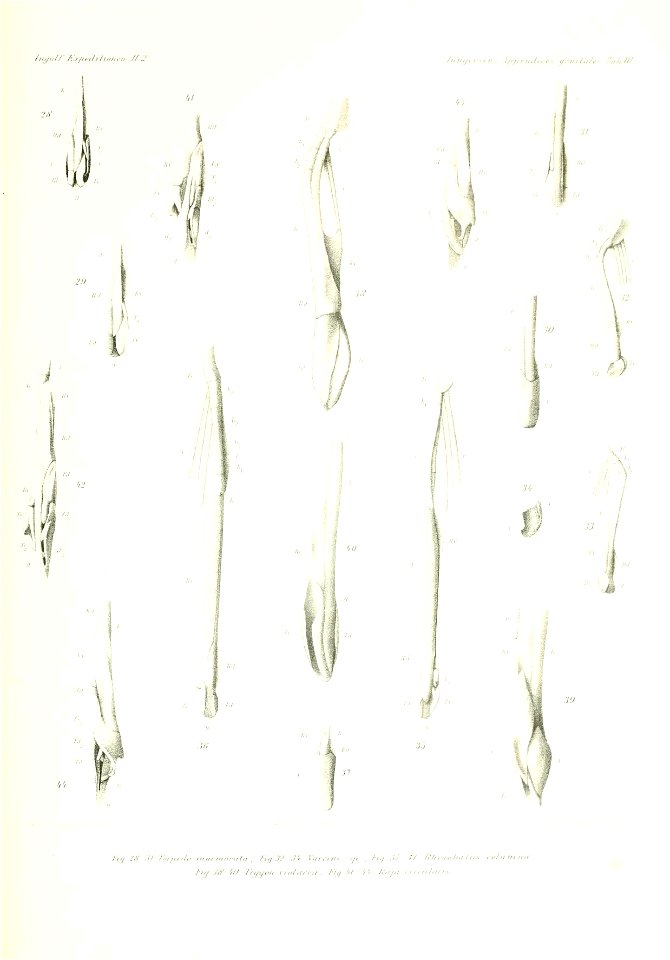 n160_w1150