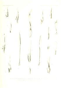 n160_w1150